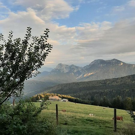 Stoecklhof Villa Зигсдорф Екстериор снимка